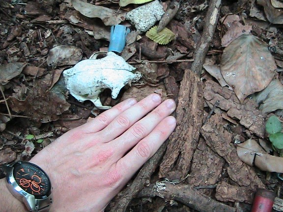 Inquietanti tracce in una villa...al centro di Roma!!!